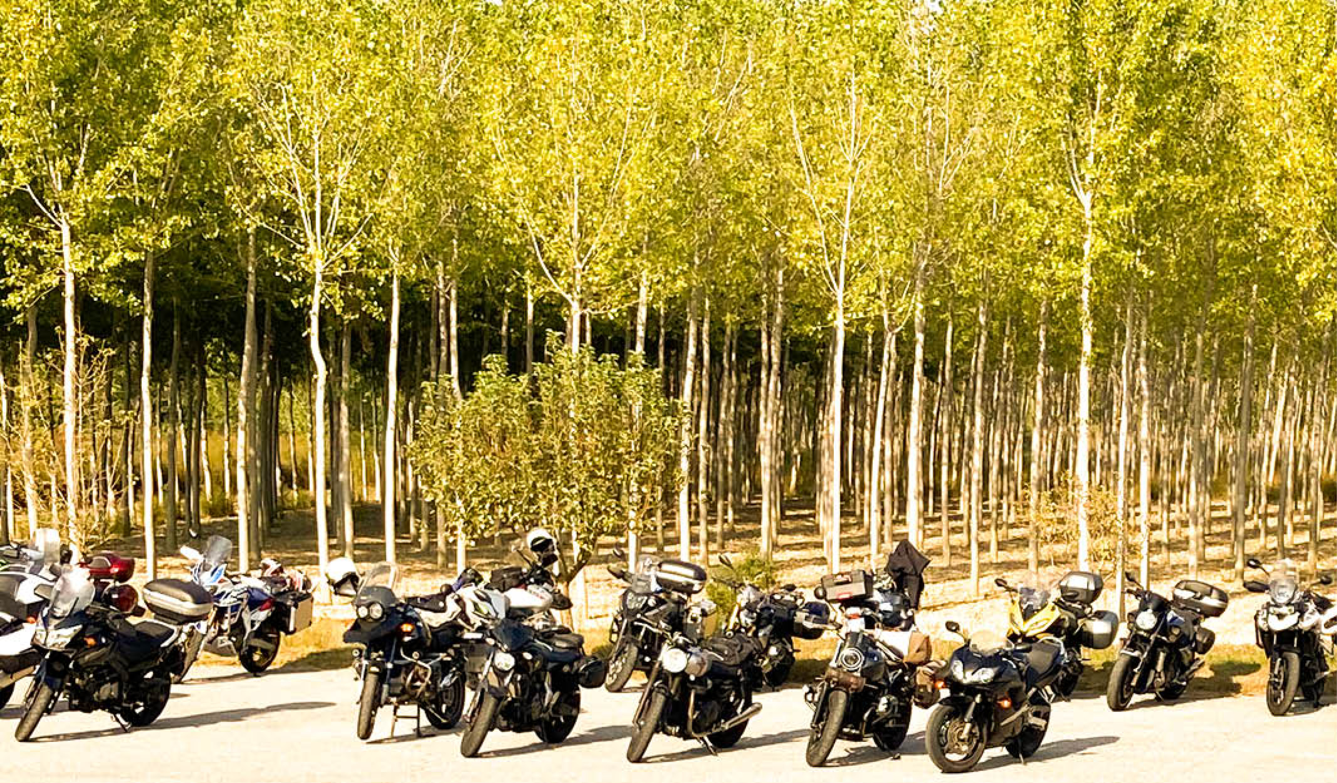 Motoraduno 2023